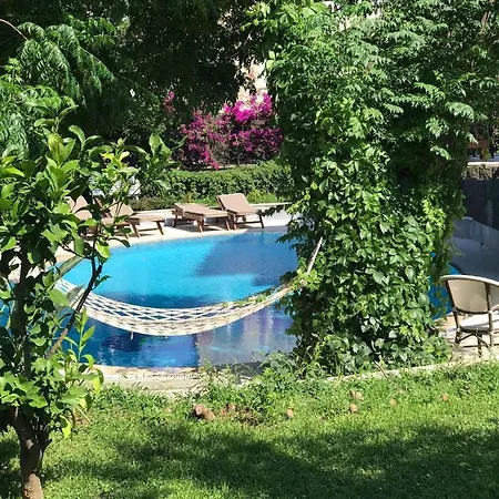 Sophia Villa