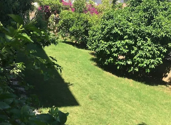 فيلة Sophia مرمريس