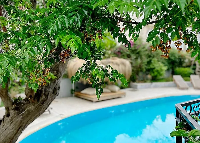 فيلة Sophia مرمريس